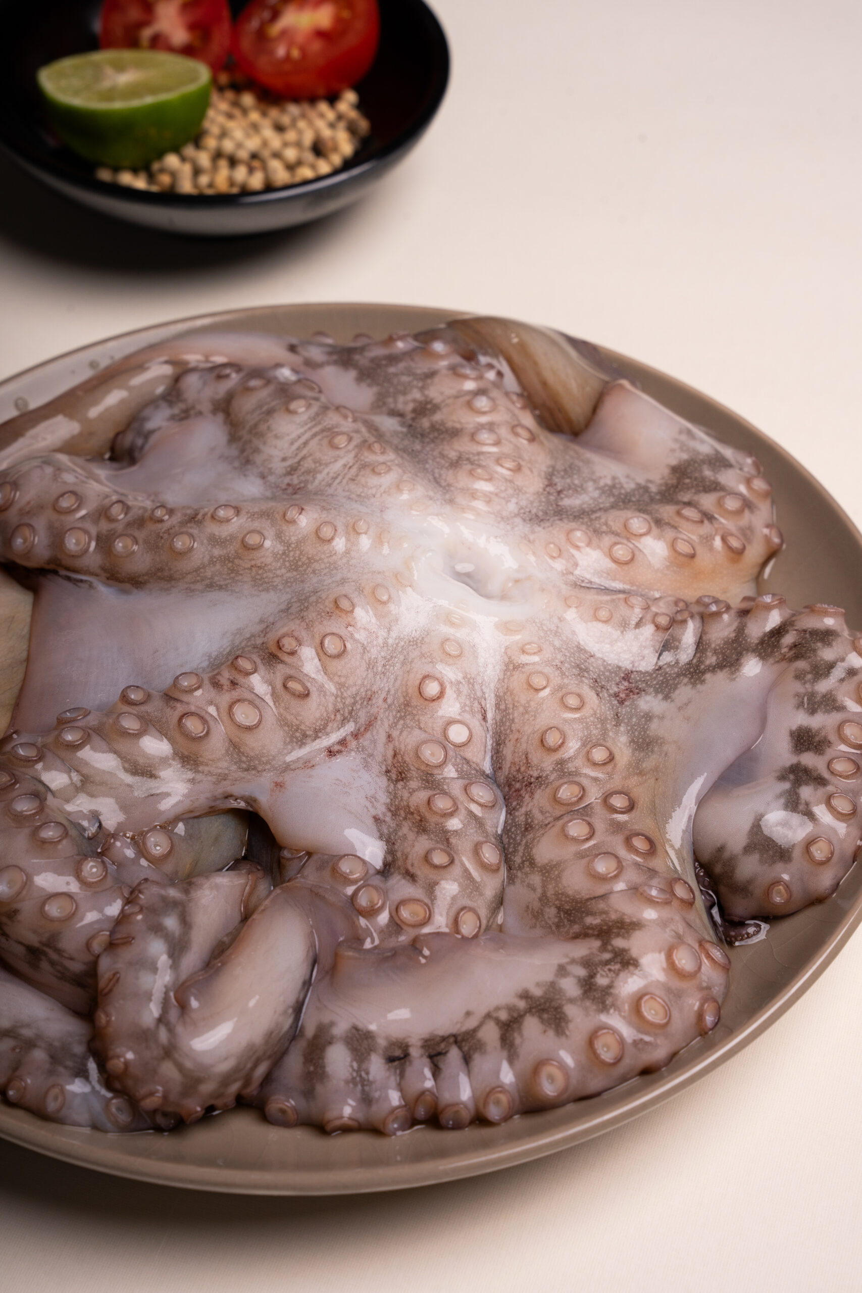 Octopus